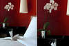 Hotel Splendid 